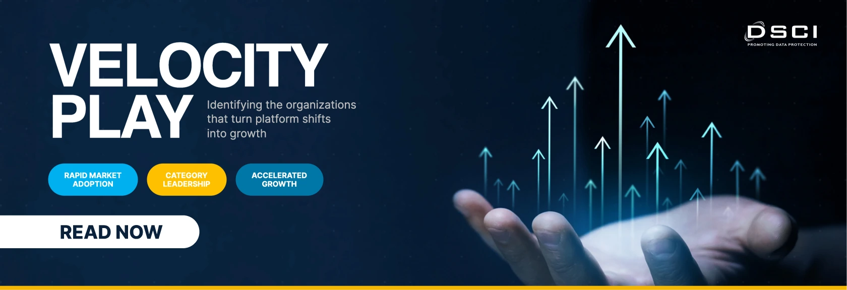 Velocity Playbook Report