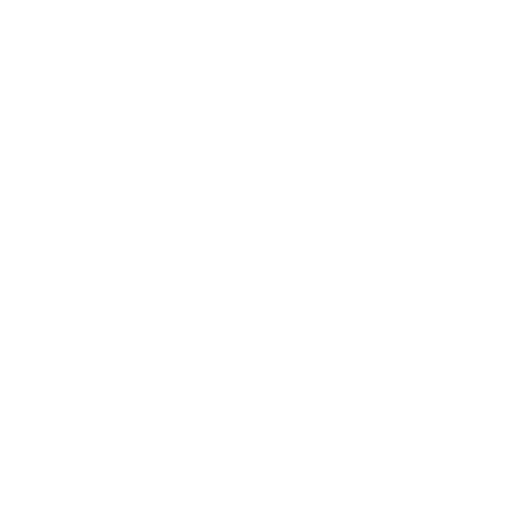 Cyber Geopolitics