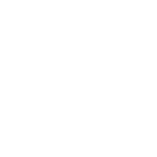 Security Engineering