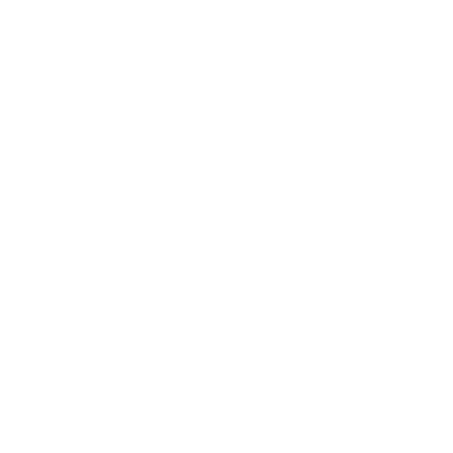 Security Governance