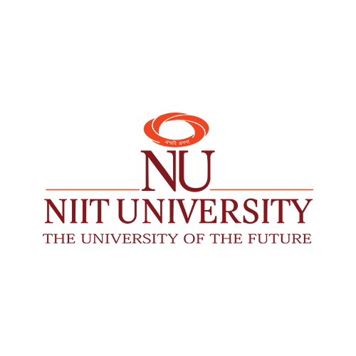 NIIT University