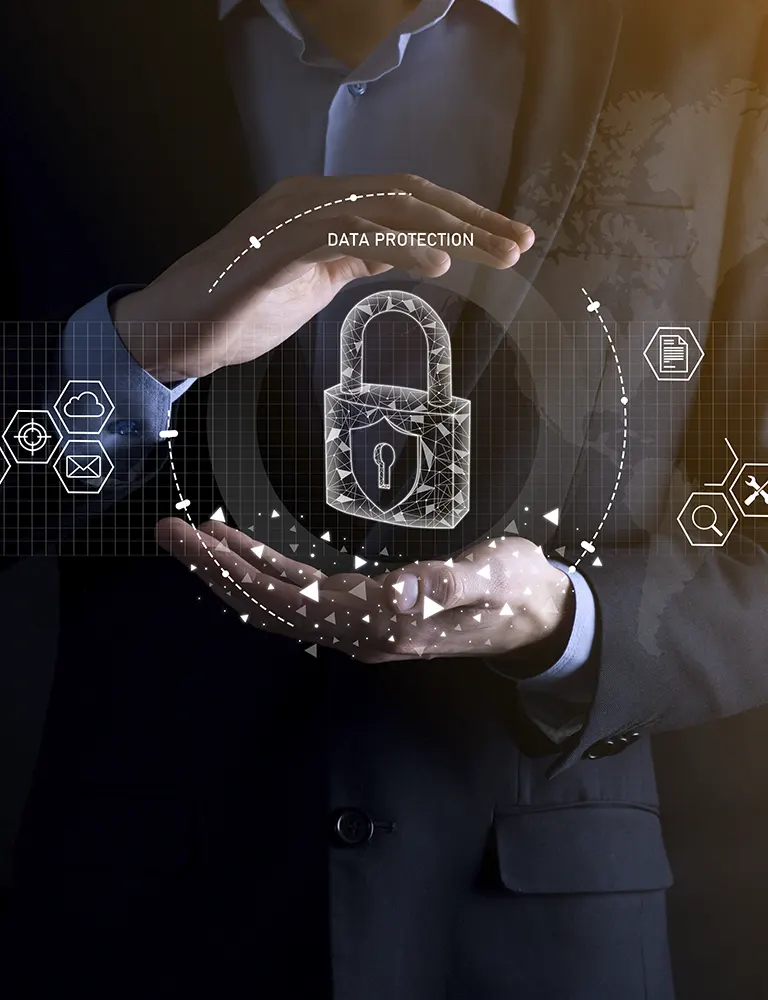 Security & Privacy Professionals